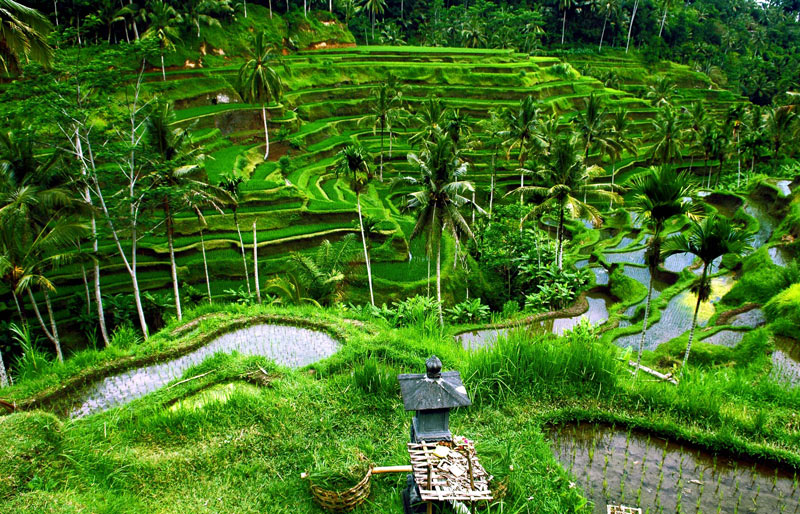 Séjour sur-mesure à Bali